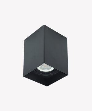 Spot sobrepor direcionável PAR20 quadrado preto