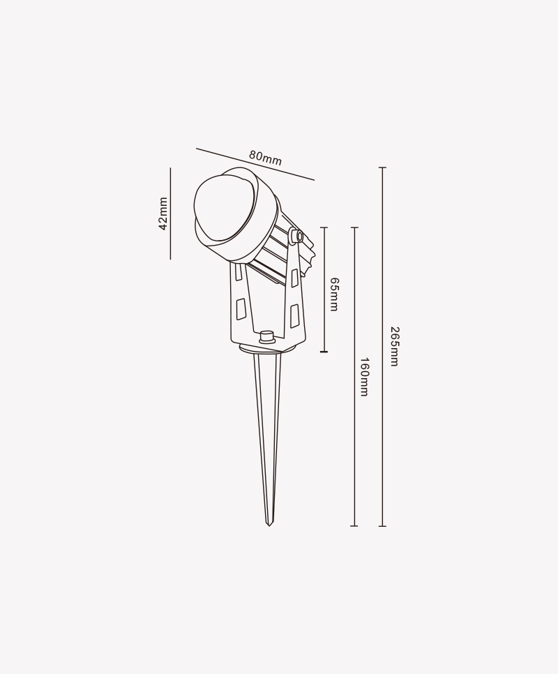 Espeto-Laser-dt