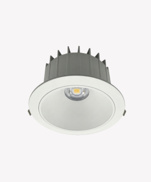 Power Downlight 30W