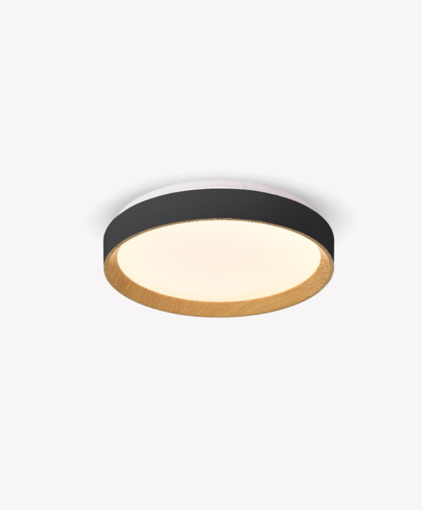 OPS 38049 – IMG OPS 38049 – IMG