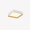 OPS 80587 – IMG OPS 80587 – IMG