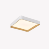 OPS 80594 – IMG OPS 80594 – IMG