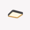 OPS 80600 – IMG OPS 80600 – IMG
