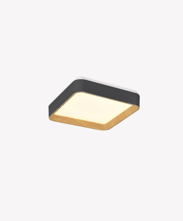 OPS 80600 – IMG OPS 80600 – IMG