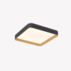 OPS 80617 – IMG OPS 80617 – IMG
