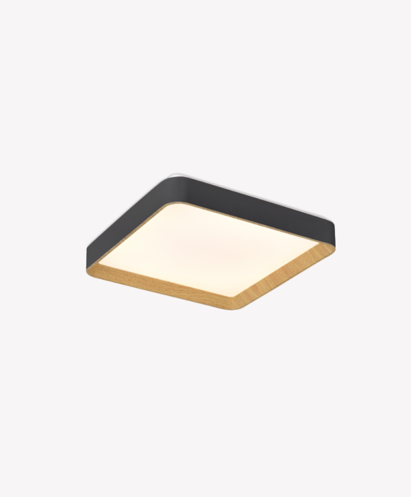 OPS 80617 – IMG OPS 80617 – IMG